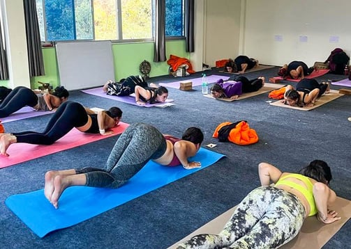 Yoga class in India practicing various asanas (yoga postures) on mats.