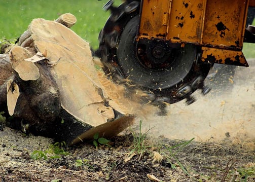 Stump Grinding