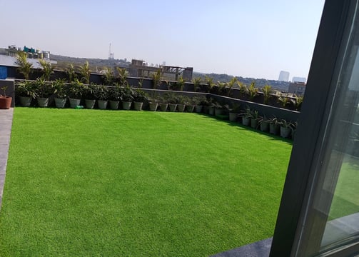 Artificial Grass
