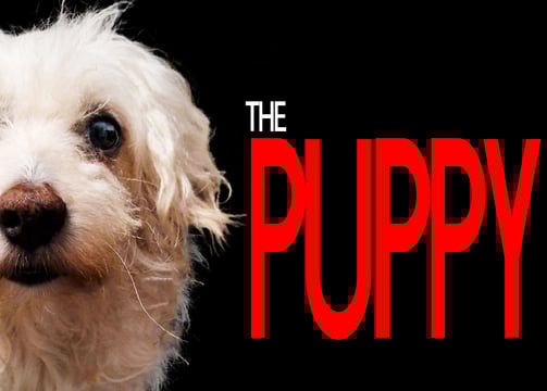 the puppy steam