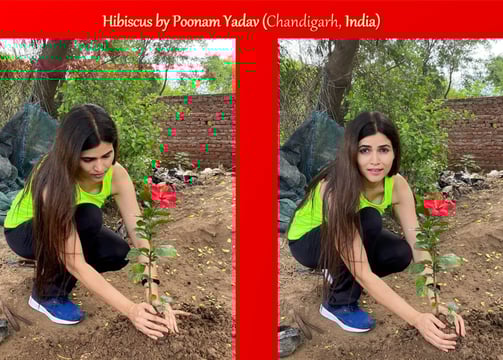 Mrs India planted a tree to connect people with nature positively to join the movement for sustainability