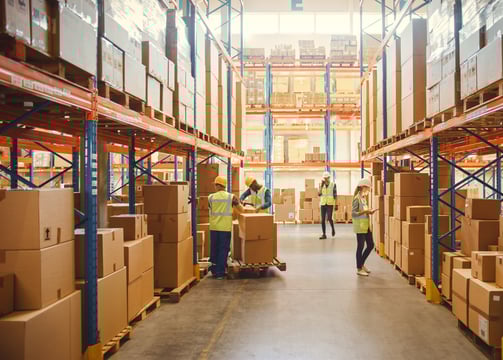 Retail Warehouse full of Shelves with Goods in Cardboard Boxes, Workers Scan and Sort Packages, Move