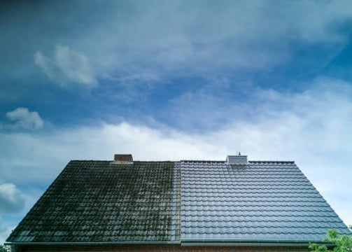 image of a before and after shot of a roof that has been soft washed 