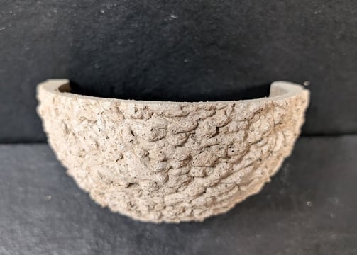 single Swallow nest cup by Nest Cup Box