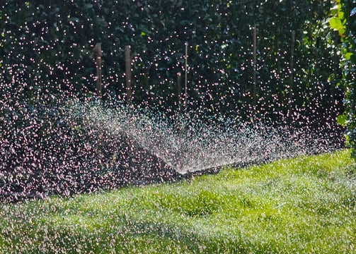 a sprinkler sprinkles in the grass