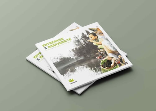 Mise en page et brochure pour l'association Natagora