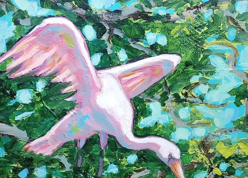 pink bird