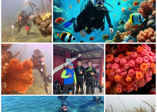 KRAKATAU DIVE TOUR