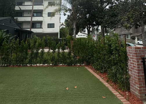 a house with a lawn and a fenced in area