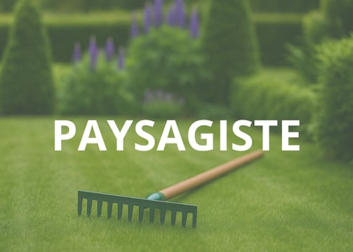 a raket with a raket and a raket in the grass