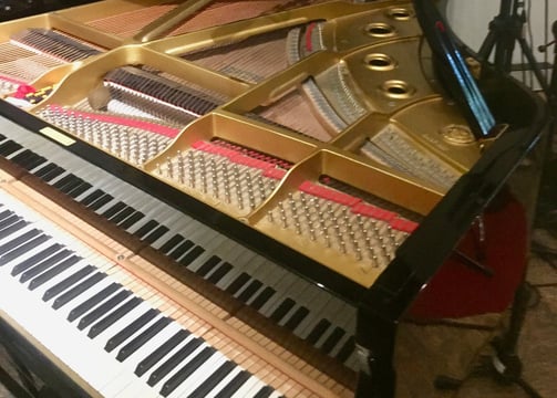 Studioflügel