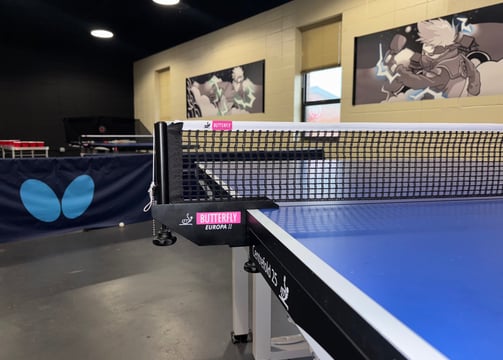 a ping pong table tennis net with a ping pong ball