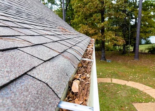 image of a gutter with leaves and debris 