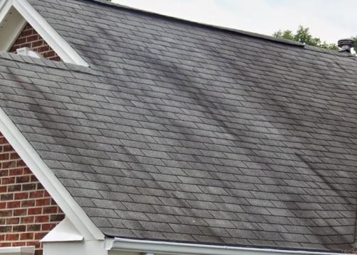 image of a roof with black streaks and bacteria and algae growth