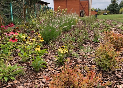 ogród bylinowy, projektowanie ogrodów naturalnych, architektura krajobrazu