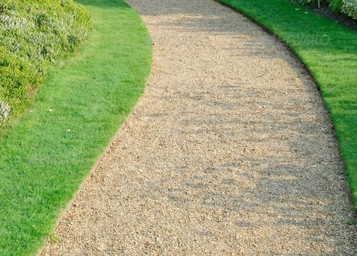 Un sentier menant à une pelouse verdoyante et luxuriante