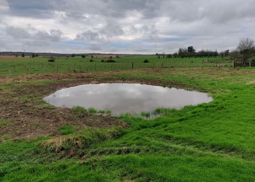 Petite mare naturelle au cœur d’un paysage verdoyant