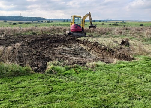 Travaux de terrassement avec pelouse et pelleteuse