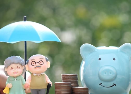 a happy old couple after retirement with the pile of money showcasing financial security