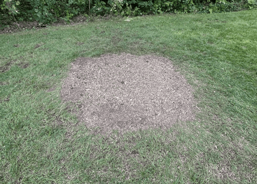 Removing a tree stump to improve yard safety and appearance in Vaudreuil
