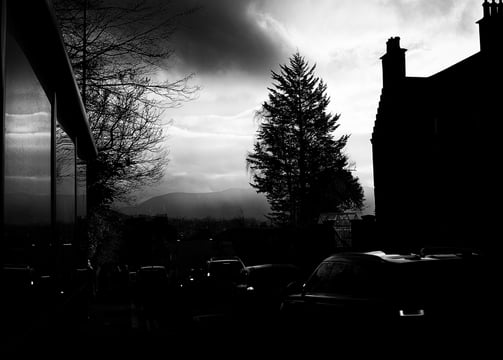 A tree and building silhouetted against a rainy looking sky on Morningside Road, Edinburgh