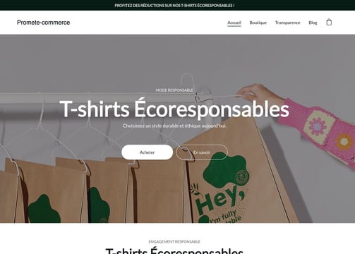 site e-commerce