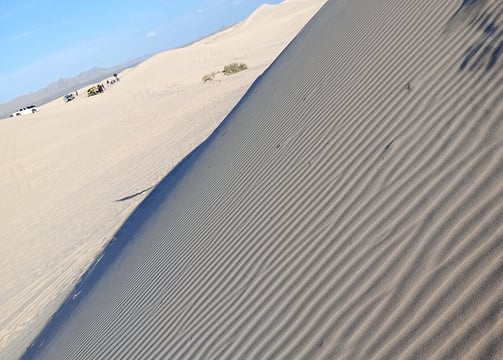 DUNAS EN EL DESIERTO DE CHIHUAHUA