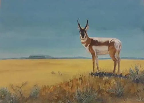 A soulful watercolor of a pronghorn antelope standing in golden prairie grass