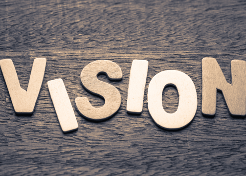 Vision