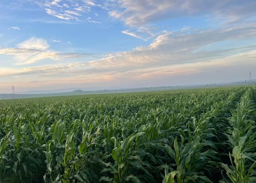 Crédito Agroindustria