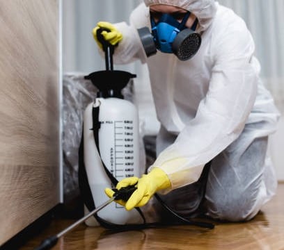 a pesticider spraying a floor with a sprayer