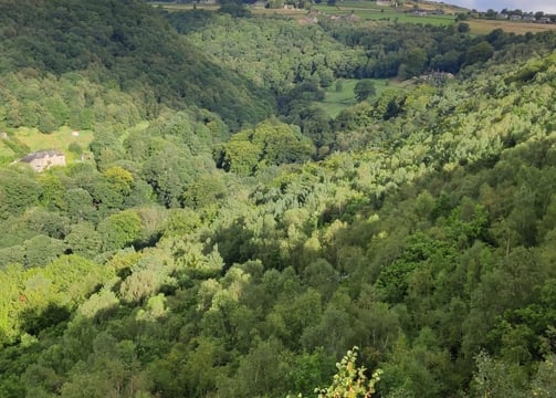 woodland view in calderdale west yorkshire