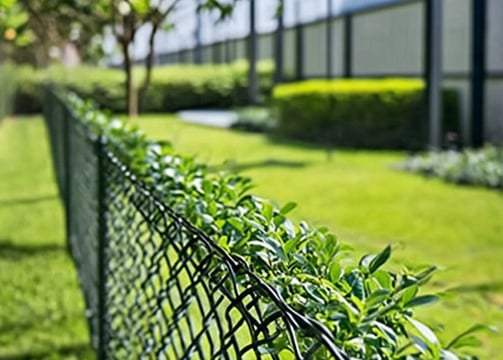 a black chain link fence with a beautiful yard in the background.