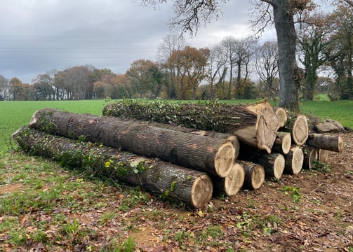 vente de bois