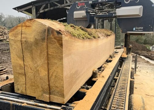 planche chêne