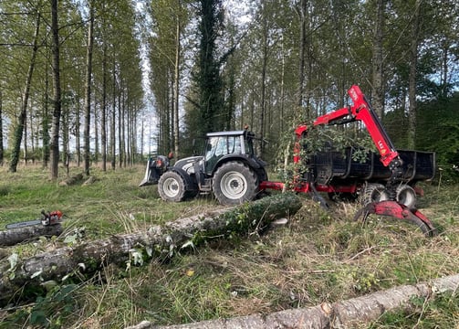 défrichage bois parcelle bretagne