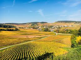 vin mâcon