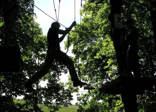 Accrobranche