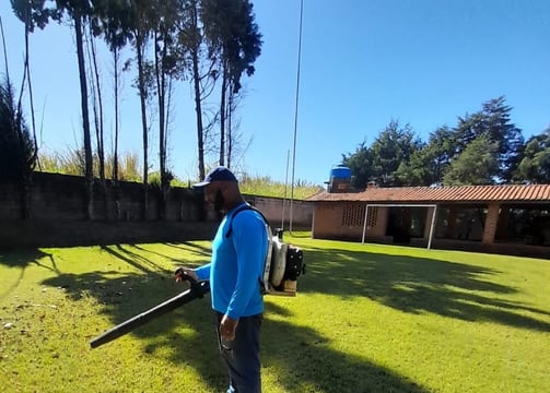 Limpeza de terreno