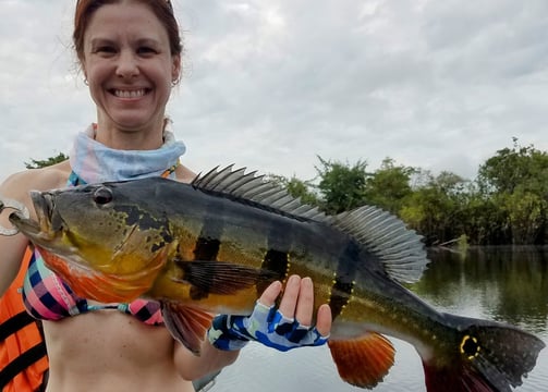 I caught a peacock bass