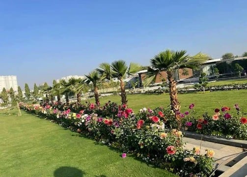 Urban green wall system promoting environmental sustainability