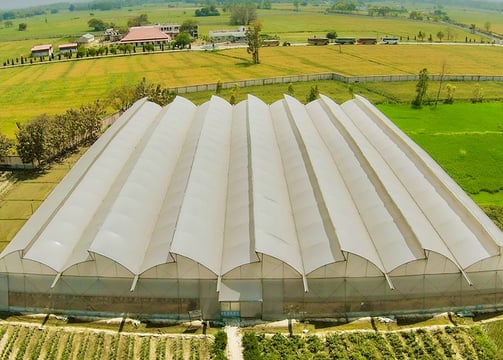 Sustainable rooftop farming project under protected cultivation