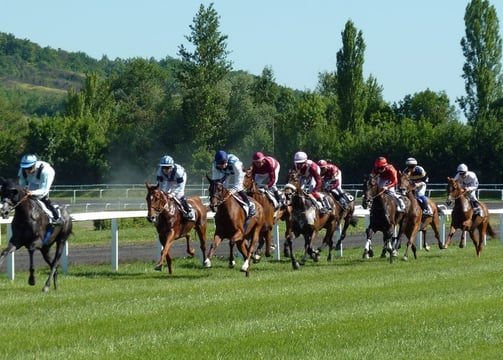 course hippique