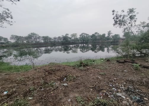 Pond 