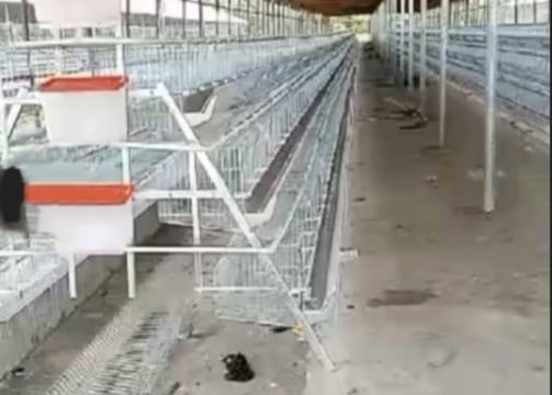 Battery cage