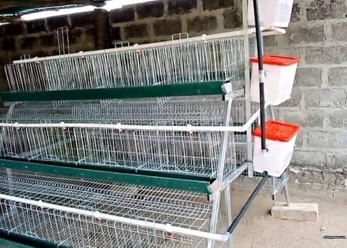 Battery cage