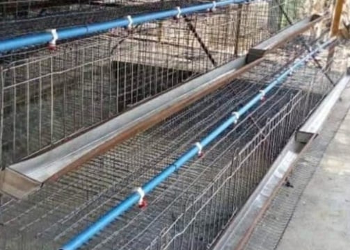 Battery cage