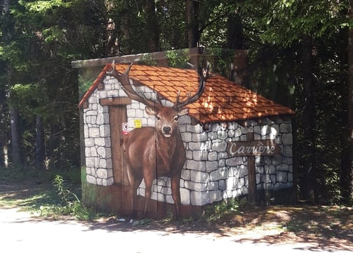 Initiation graff avec activ'ados sur Lans en Vercors, thème : trompe l'oeil, sur un transformateur E
