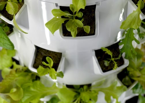 a planter with plants growing in a potted hydroponic tower