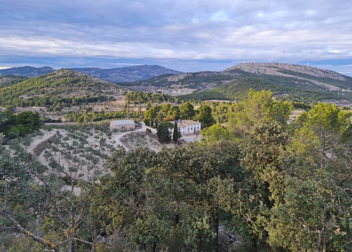 Masia La Pastora, une magnifique oliveraie produisant une huile d'olive extra vierge écologique